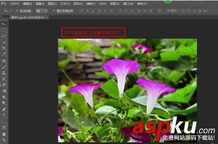 ps,馬賽克,圖片