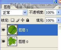 Photoshop制作在綠葉上滾動的水珠教程 Photoshop教程,水珠,綠葉