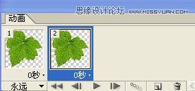 Photoshop制作在綠葉上滾動的水珠教程 Photoshop教程,水珠,綠葉