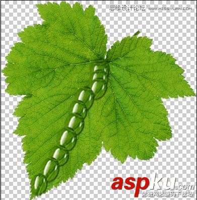Photoshop制作在綠葉上滾動的水珠教程 Photoshop教程,水珠,綠葉