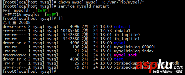 PHP程序員玩轉Linux系列 備份還原MySQL MySQL,備份,還原