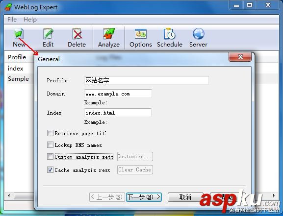 IIS訪問日志分析器,weblogexpert