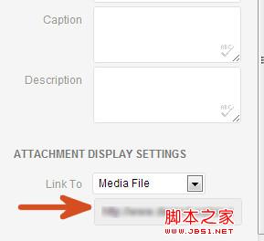 將在媒體上載的文件的位置 將在媒體上載的文件的位置