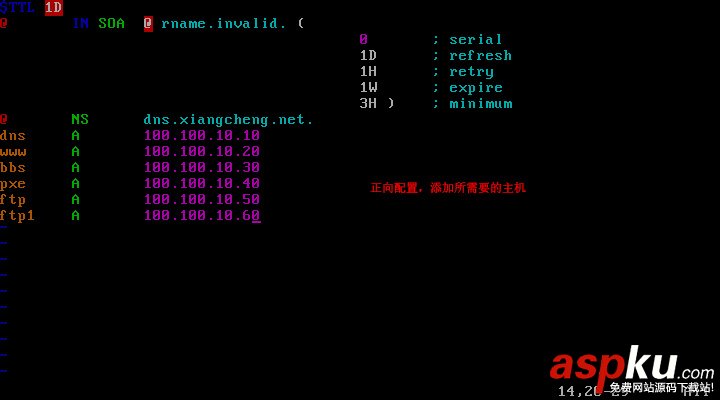 Centos,配置,DNS服務(wù)器